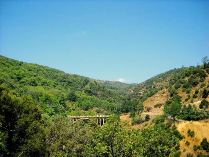 Dafni Apartments Καστρί Εξωτερικό φωτογραφία